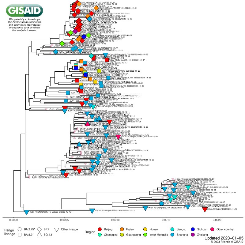 世卫组织1月5日开成员国通报会，中疾控派4人就中国防疫政策、毒株监测、疫苗接种、临床救治作交流汇报