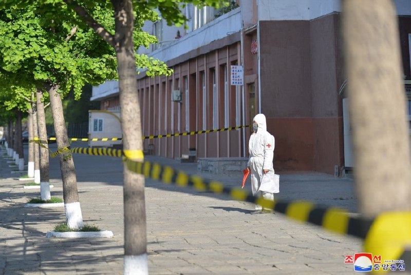 5月15日18时至16日18时，朝鲜新增269510多例发热患者，治愈170460多例，死亡6例
