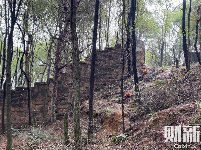 胡鑫宇家人29日下午决定进行尸检以查清真相