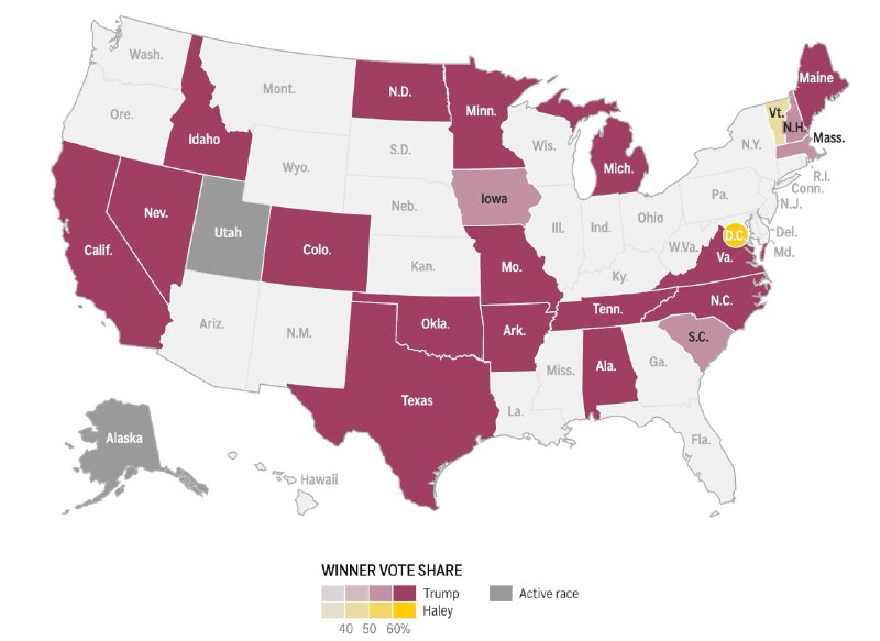 美国5日迎来“超级星期二”党内初选，十几个州和美国领地的选民为竞选人投票