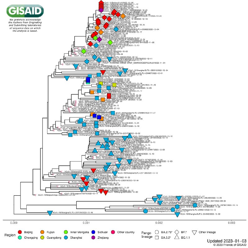 世卫组织新冠病毒进化技术咨询小组（TAG-VE）1月3日同中疾控开视频会，听取毒株监测工作情况汇报