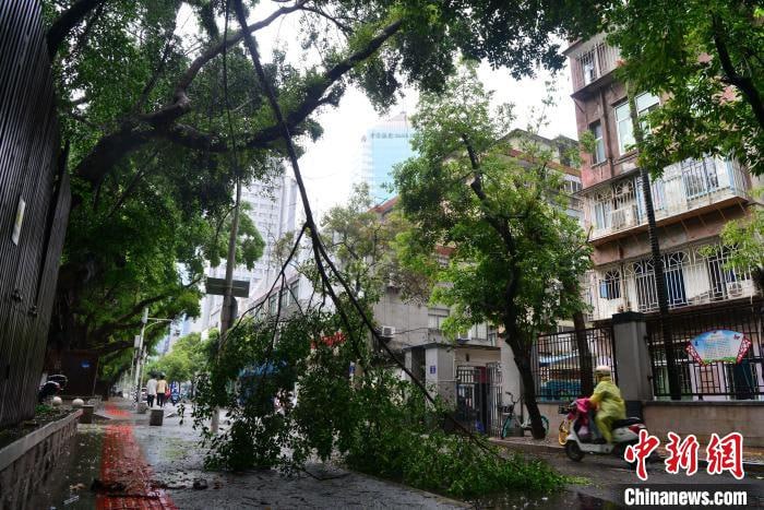 台风“格美”于25日19